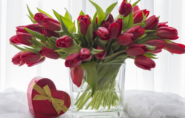 Тюльпаны будут стоять очень долго: простые хитрости, которые позволят сберечь букет
