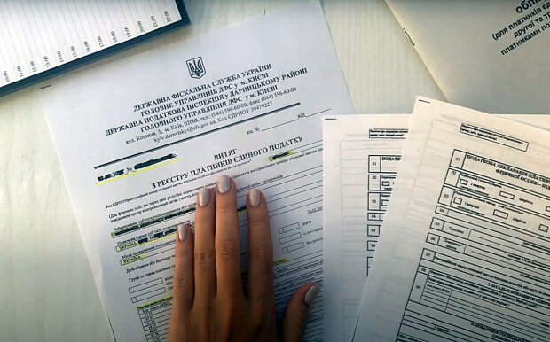 Налоговая декларация. Фото: скриншот YouTube-видео.