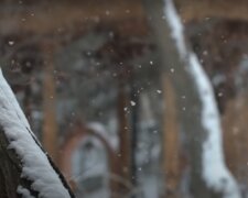 Первые снегопады в Украине. Синоптики назвали точную дату