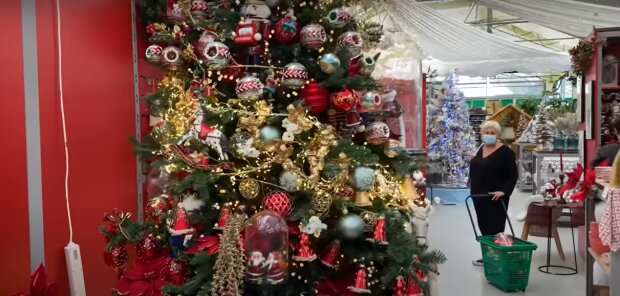 Дешевле украсить люстру: в Украине озвучили цены на новогодние елки и сосны