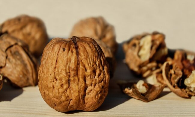 Волоські горіхи, фото: youtube.com