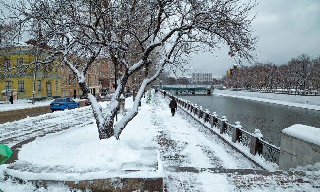 Потепление в январе, фото: скриншот