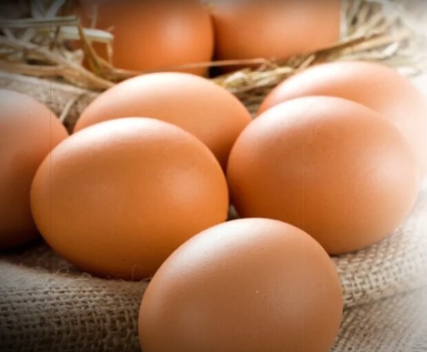 Щоб не отруїти всю родину: як правильно зберігати варені яйця у холодильнику, щоб вони не зіпсувалися