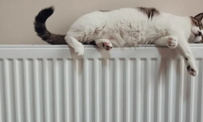 Полезная хитрость: украинцам рассказали, как сделать, чтобы батареи грели лучше