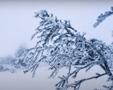 Шквальный ветер и ливни со снегом: на Рождество погода испортится во всех регинах