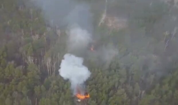 Б'ють нечисть: ЗСУ випалюють ворожі колони в лісах. Потужне відео