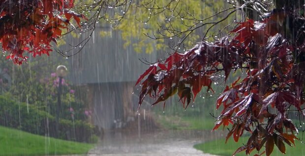 Дождь. Фото: YouTube