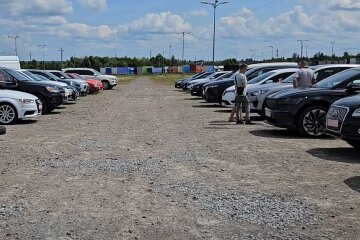 Водіїв уже попередили: скоро "Дія" видаватиме важливе попередження по вашій автівці