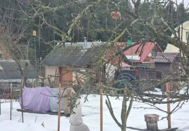 Город, дача, зображення з вільних джерел