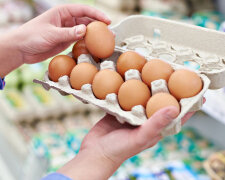 Где выгоднее всего покупать подорожавшие яйца
