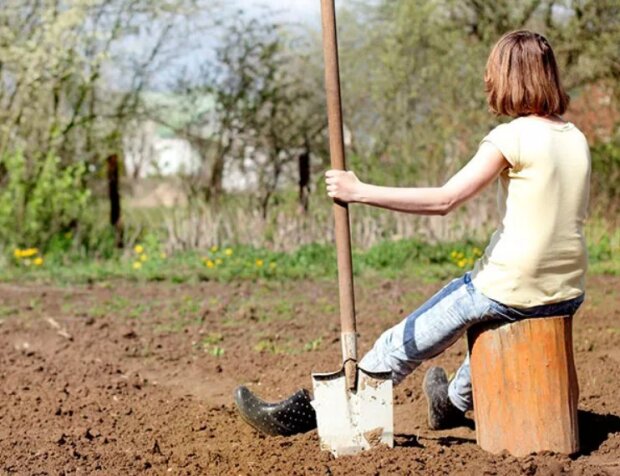 Метод "однієї ложки": що потрібно зробити, щоб земля на городі стала повітряною та родючою