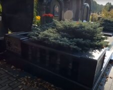 Кладовище: скрін з відео