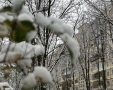 У Київ прийшла зима, фото: youtube.com