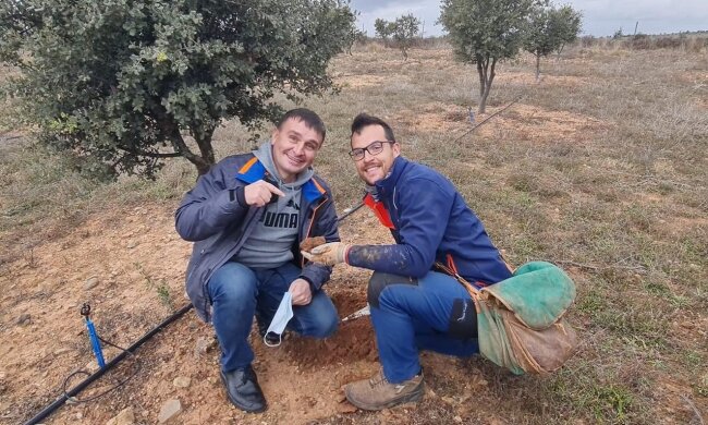 Ночи будут безумными: житель Винницы выращивает "грибы-виагру". Фото