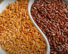 Чистить організм та запобігає раку. 5 причин, чому варто мати на кухні насіння льону
