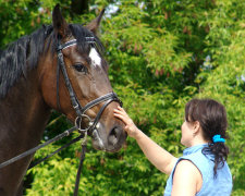 Девушка, мечтающая стать лошадью, ходит на четвереньках. Фото красавицы