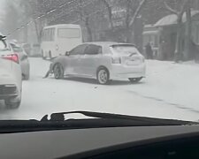 В Киеве снегопад, фото: youtube.com