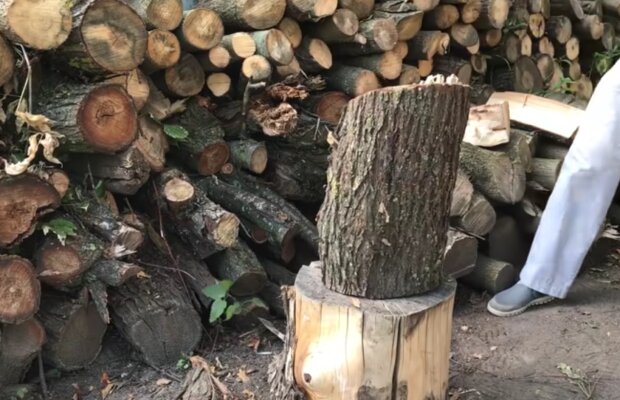 Заставят мерзнуть зимой. Украинцев предупредили о "бешеных" ценах на дрова
