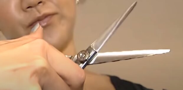 Ножиці: скрін з відео