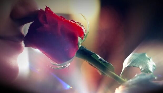 Холосятк 14 сезон