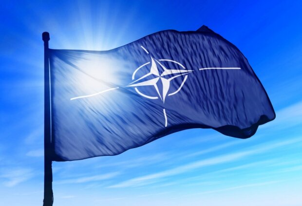 Все очень серьезно: в НАТО уже заявили, что пора готовиться к войне с Россией