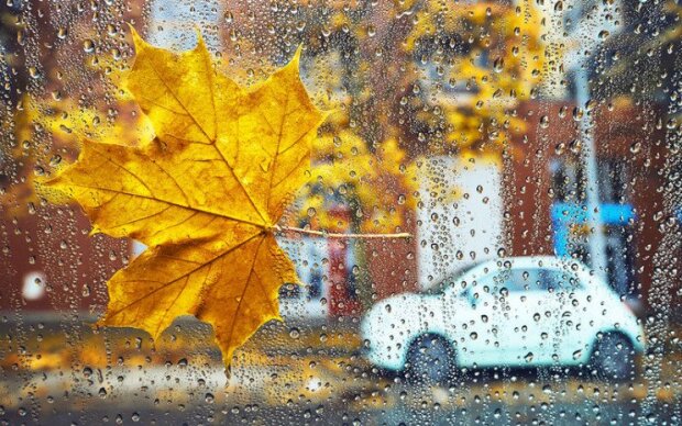 Осенние дожди, фото: youtube.com