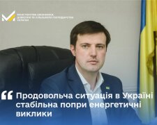 Тарас Висоцький: Продовольча ситуація в Україні стабільна попри енергетичні виклики