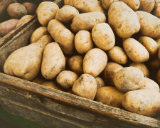 Ціни на картоплю знову зростають: українцям розповіли, до чого готуватись