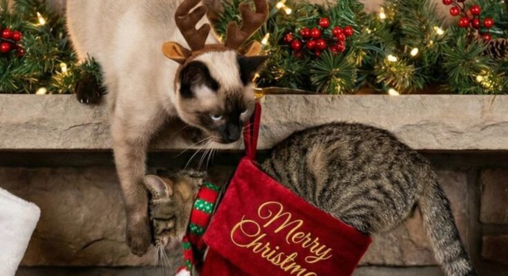 Новий рік, фото: Pinterest