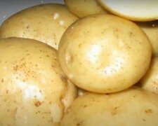 Обычный картофель может медленно отравлять ваш организм: врач указал на важный нюанс. Должны знать все