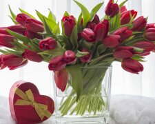 Тюльпани стоятимуть дуже довго: прості хитрощі, які дозволять зберегти букет