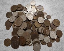 Монети СРСР, фото: скріншот