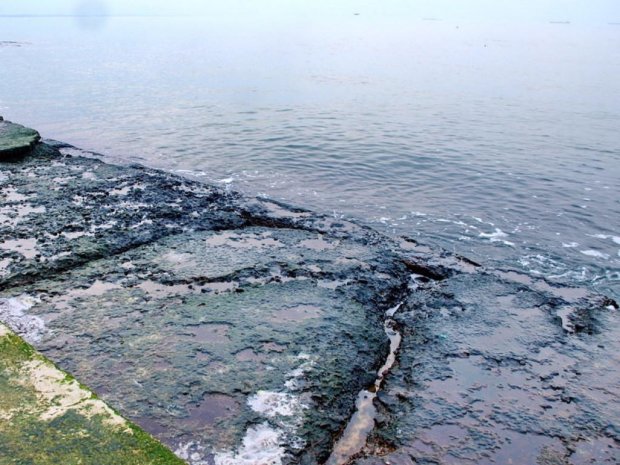 Море в Одессе внезапно стало черным