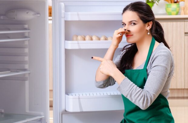 Неприятный запах в холодильнике: как избавиться. Раскрыты 5 секретов