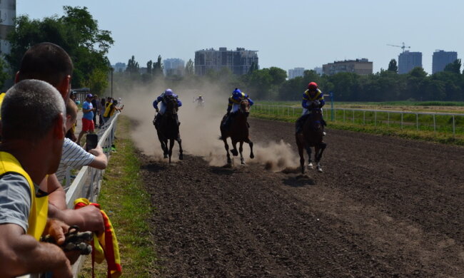 Как проходят скачки на Одесском ипподроме: “Это не как крутая машина, когда сел, нажал педаль в пол и она улетела”