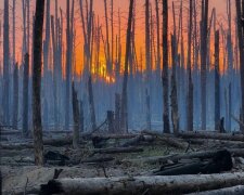 Держекоінспекція показала плачевну ситуацію у Донецькій області: руйнуються міста, промислові об’єкти та природні ландшафти