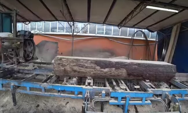 Можна заробляти 40 тисяч гривень за місяць: Польщі потрібні працівники. Кого запрошують