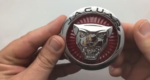Логотип Jaguar. Фото: YouTube