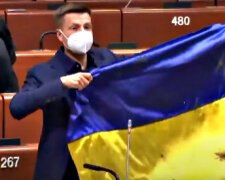 Гончаренко в ПАРЄ. Фото: скріншот YouTube-відео.