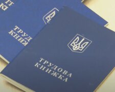 Трудовая книжка. Фото: скриншот YouTube-видео