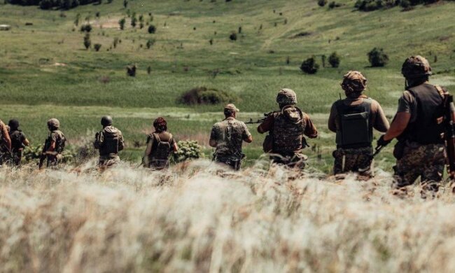 К воинам ВСУ присоединился боевой отряд пчел. И это не шутка. "Казарма" пчел находится в ящике из-под снарядов