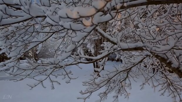 Ждать ли снега на Новый год: синоптики удивили прогнозом погоды на зимние праздники