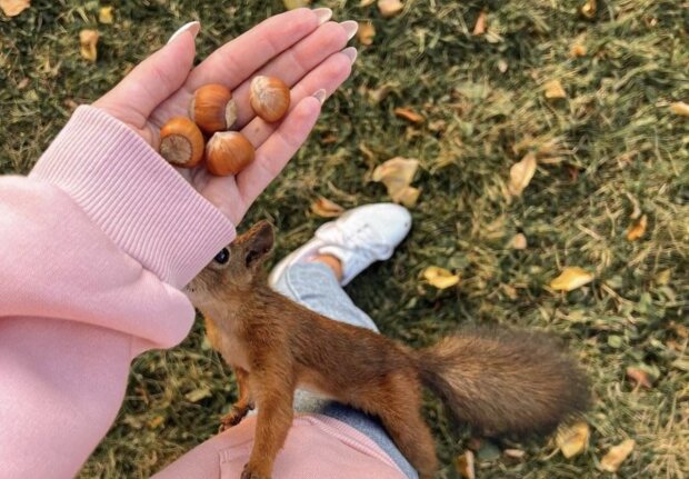 Гороскоп, зображення: Pinterest