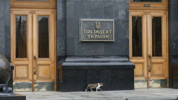 Вхід в офіс Президента України. Фото: скріншот