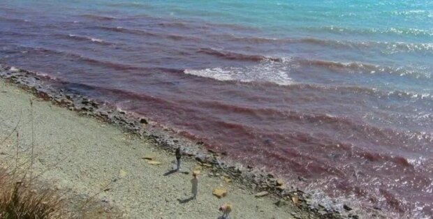 Черное море окрасилось в цвет крови: знак с небес для Путина. Фото
