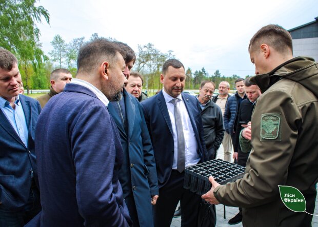 Ігор Зубович, Голова комісії з перетворення ДП «Ліси України»
