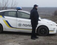 Полиция