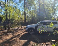 Более 1300 спиленных деревьев и 11 миллионов убытков: в Житомирской области поймали «черных лесорубов» с полной машиной древесины