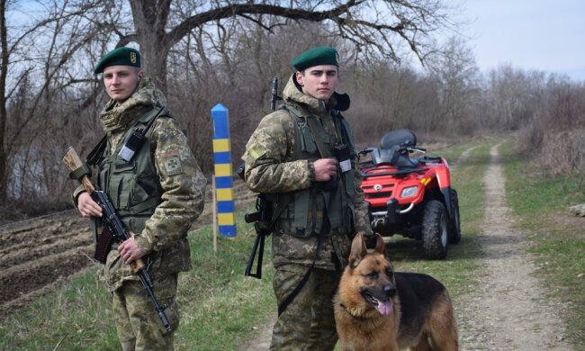 Украинские служебные собаки оснащены лучше, чем российские солдаты. Фото