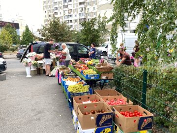 Дачі не для квітів! Хапайте мішки та запасайтеся: українців готують до складніших часів 2 Овочі та фрукти, ринок, фото: hyser.com.ua